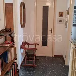 Rent 2 bedroom apartment of 52 m² in Torino