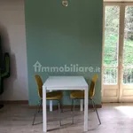 Rent 1 bedroom apartment of 28 m² in Turin