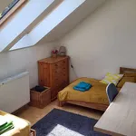 Rent a room of 150 m² in wroclaw