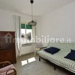 Rent 3 bedroom apartment of 65 m² in Pisa