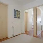 Rent 2 bedroom apartment of 1076 m² in Porto