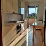 Rent 4 bedroom apartment of 130 m² in Padova