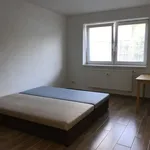 Rent 5 bedroom apartment of 39 m² in Kuřim