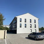 Rent 1 bedroom apartment in Pardubice