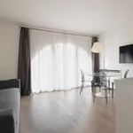 Rent 1 bedroom apartment in Milan