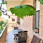 Rent 2 bedroom apartment of 75 m² in Roma