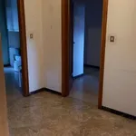 Rent a room in bologna