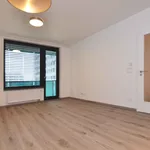 Pronajměte si 2 ložnic/e byt o rozloze 46 m² v zizkov