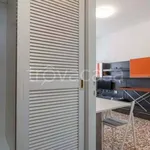 Rent 1 bedroom apartment of 30 m² in Milano