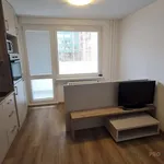 Rent 1 bedroom apartment of 32 m² in Přerov