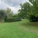 Rent 3 bedroom apartment of 75 m² in Siena