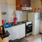 Rent 2 bedroom apartment of 50 m² in Novara