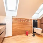 Rent 3 bedroom apartment of 120 m² in Zagreb