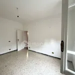 Rent 3 bedroom apartment of 90 m² in Velletri