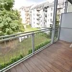 Rent 2 bedroom apartment of 55 m² in Chemnitz