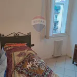 Rent 3 bedroom apartment of 85 m² in Bologna