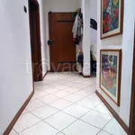 Rent 4 bedroom apartment of 74 m² in Siena