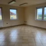 Rent 4 bedroom apartment of 180 m² in Eger