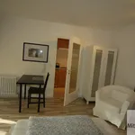 Rent 1 bedroom apartment of 26 m² in Fürth