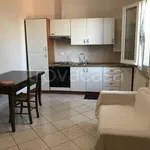 Rent 2 bedroom apartment of 45 m² in Savignano sul Rubicone