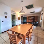 Rent 5 bedroom apartment of 100 m² in Viareggio