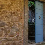 Rent 2 bedroom apartment of 80 m² in Cortona