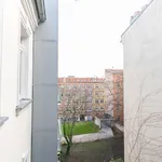 Rent 1 bedroom apartment of 43 m² in berlin