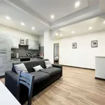 Rent 2 bedroom apartment in rome