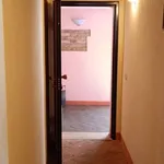 Rent 1 bedroom apartment of 50 m² in Mantova