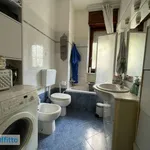 Rent 2 bedroom apartment of 45 m² in Turin