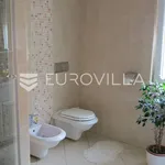 Rent 8 bedroom house of 600 m² in Zagreb