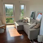 Rent 1 bedroom apartment in munich