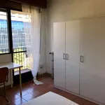 Rent a room in madrid