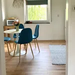 Rent 3 bedroom apartment of 87 m² in Ludwigshafen am Rhein