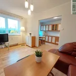 Rent 2 bedroom apartment of 44 m² in Zielona Góra