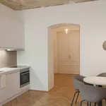 Rent 1 bedroom apartment of 42 m² in Vienna