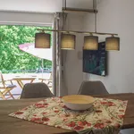 Rent 1 bedroom apartment of 614 m² in Dresden