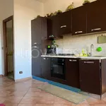 Rent 2 bedroom apartment of 45 m² in Genzano di Roma