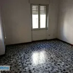 Rent 3 bedroom apartment of 80 m² in Cagliari