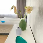 Rent 1 bedroom apartment of 42 m² in München