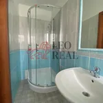 Rent 1 bedroom apartment in Praha - západ