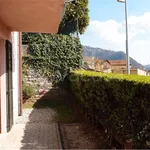 Rent 2 bedroom apartment of 50 m² in Cernobbio