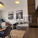 Rent 1 bedroom apartment of 39 m² in Frymburk