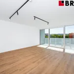 Rent 2 bedroom apartment of 62 m² in Brno