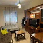 Rent 3 bedroom apartment of 17 m² in Roma