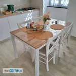 Appartamento arredato con terrazzo Centro