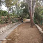 Rent 4 bedroom house of 150 m² in Monte Argentario