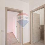 Porzione di casa in Affitto Viadana 33631032-78 | RE/MAX Italia