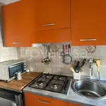 Rent 2 bedroom apartment of 55 m² in Milano