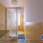 Rent 1 bedroom apartment of 48 m² in Milano